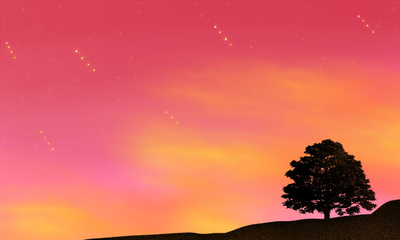 網(wǎng)絡(luò)工程專業(yè)就業(yè)方向與前景分析 聚焦軟件開(kāi)發(fā)與應(yīng)用